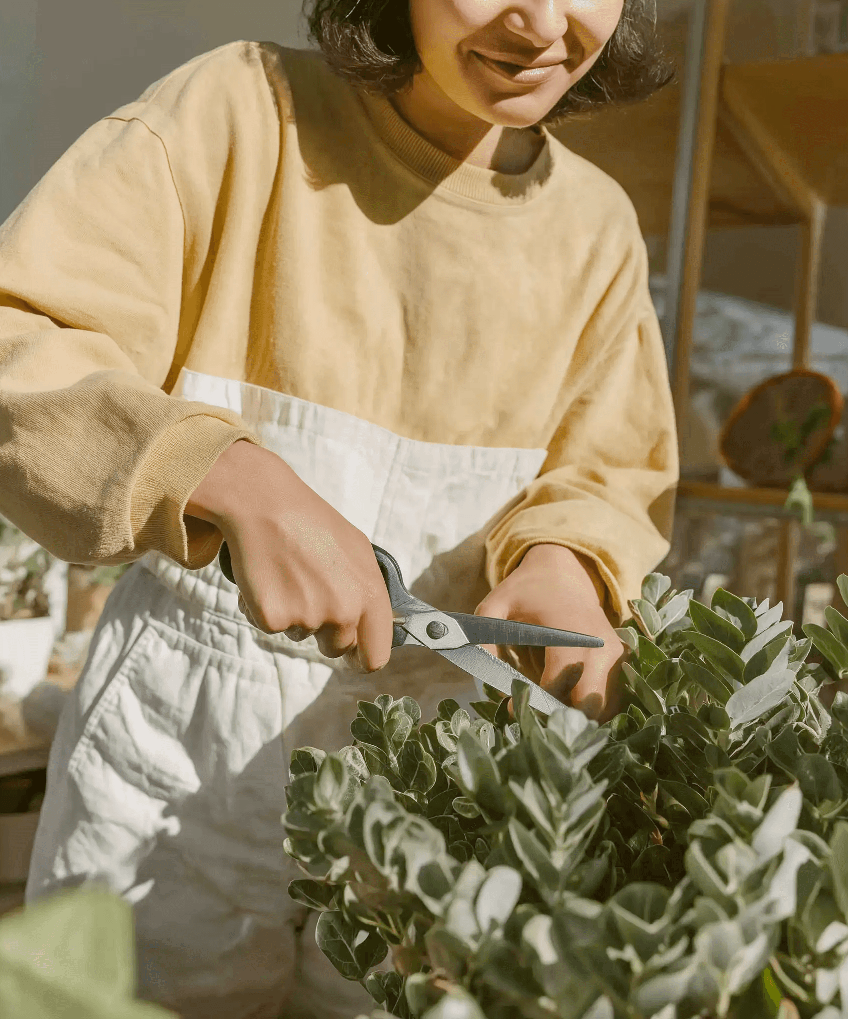 Reduce monthly costs